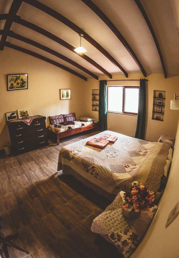 Hostel Serena サマイパタ エクステリア 写真