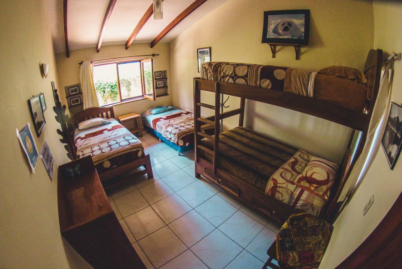 Hostel Serena サマイパタ エクステリア 写真
